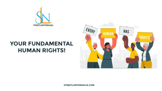 Your Fundamental Human Rights!