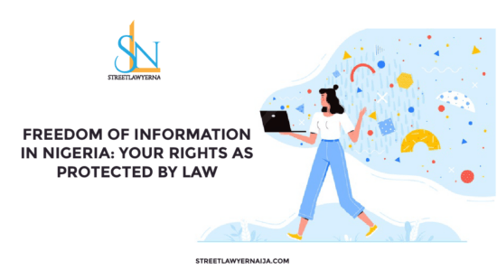 Freedom of Information in Nigeria: Your Right As Protected By Law