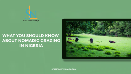 What You Should Know About Nomadic Grazing in Nigeria