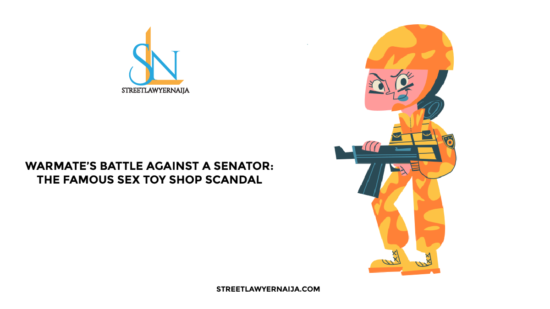Warmate’s Battle Against a Senator: The Famous Sex Toy Shop Scandal